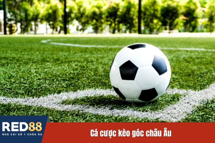 Cá cược kèo góc châu Âu