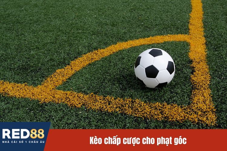 Kèo chấp cược cho phạt góc